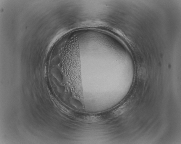 X0000067331459200604131648