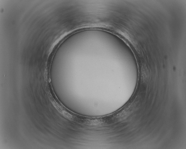 X0000067331460200604131648