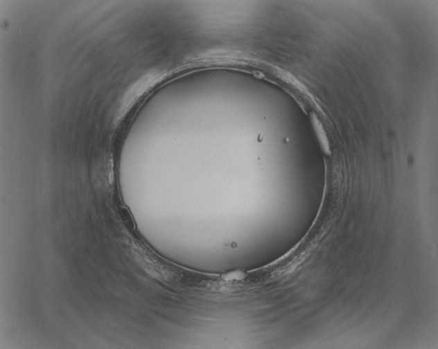 X0000067331461200604131648