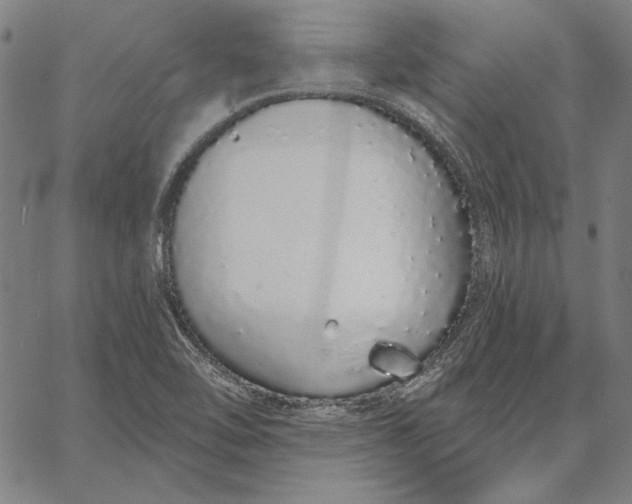 X0000067331462200604131648