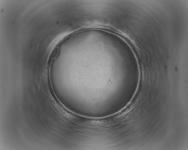 X0000067331463200604131648