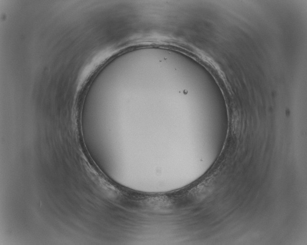 X0000067331464200604131648