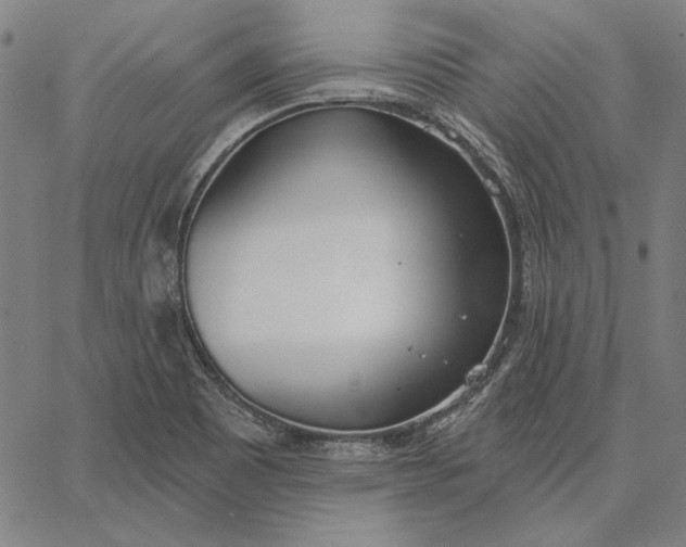 X0000067331465200604131648