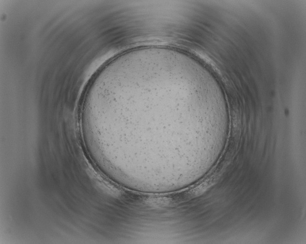 X0000067331466200604131648