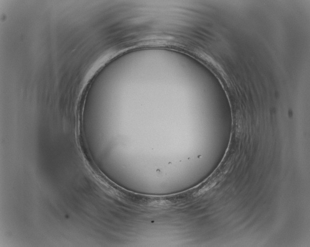 X0000067331467200604131648