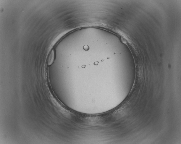 X0000067331468200604131648