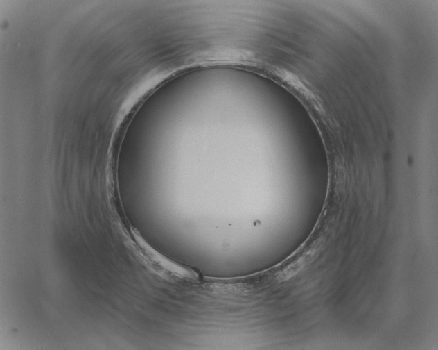 X0000067331469200604131648