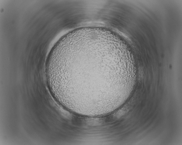 X0000067331470200604131648