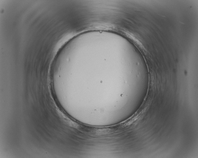 X0000067331471200604131648