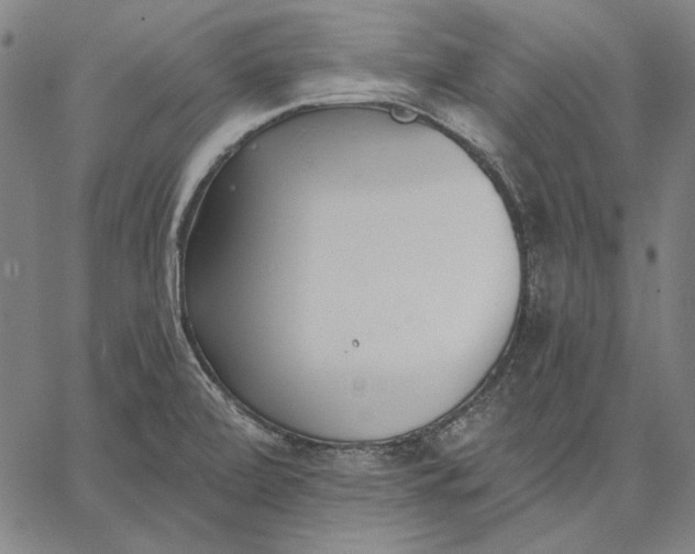 X0000067331472200604131648