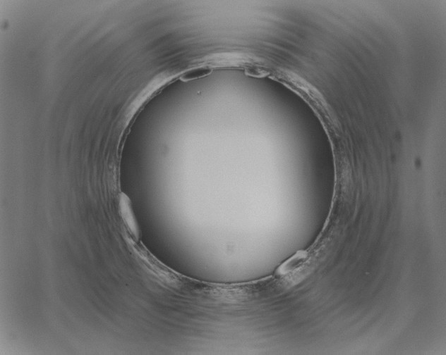 X0000067331473200604131648