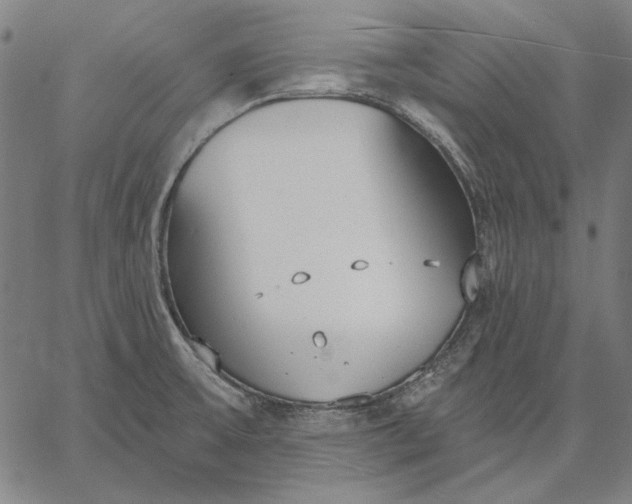 X0000067331475200604131648