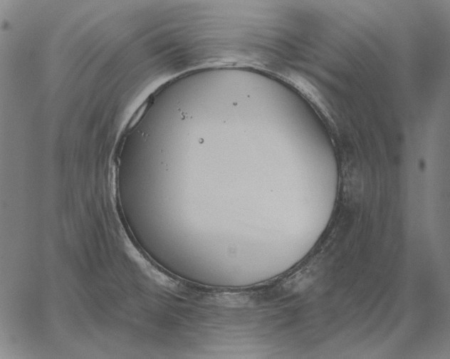 X0000067331476200604131648