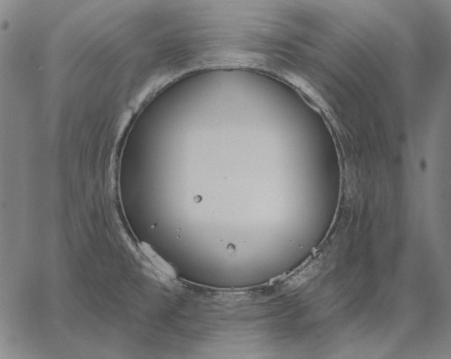 X0000067331477200604131648