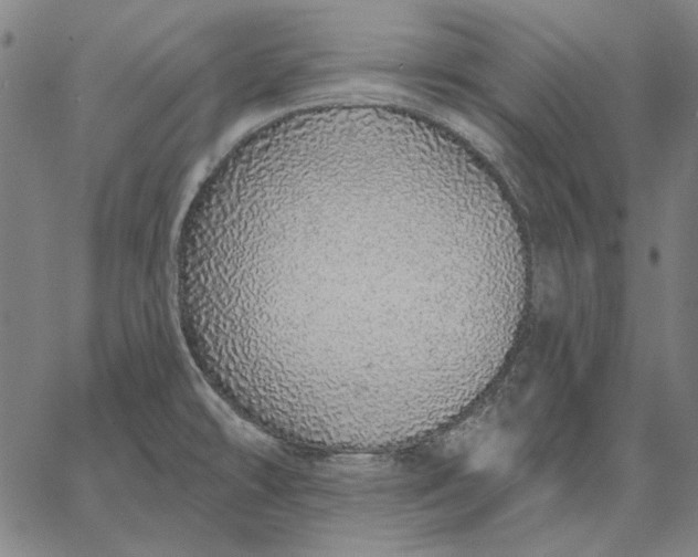 X0000067331478200604131648