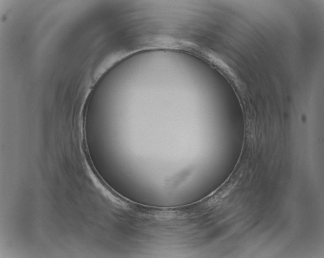 X0000067331479200604131648