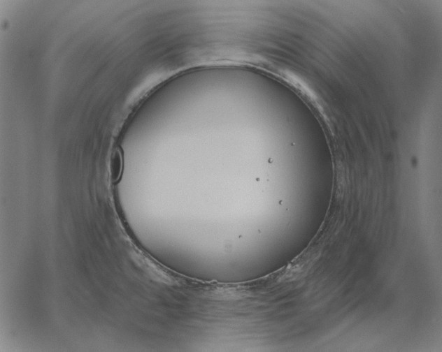 X0000067331480200604131648