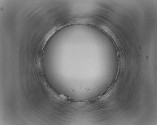 X0000067331481200604131648