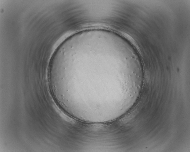 X0000067331482200604131648