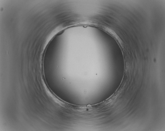 X0000067331483200604131648