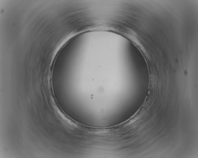 X0000067331484200604131648