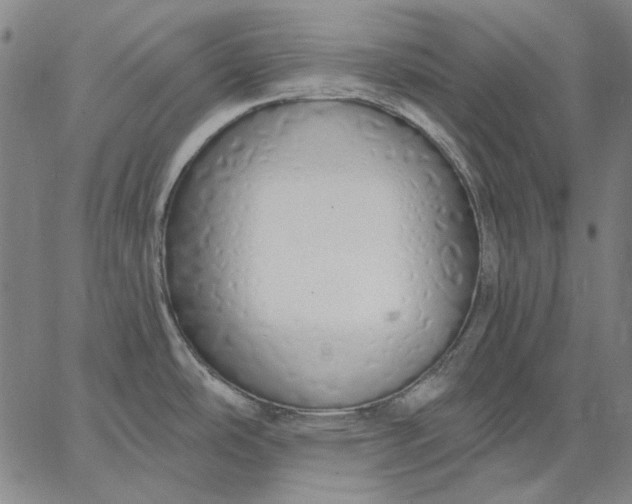 X0000067331486200604131648