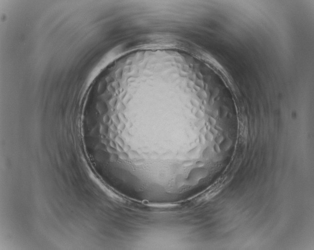 X0000067331487200604131648