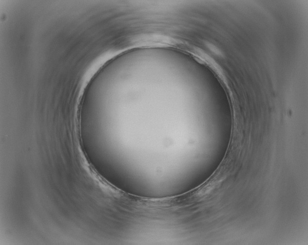 X0000067331488200604131648