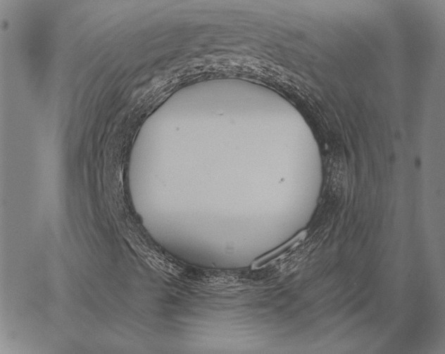 X0000067331489200604131647