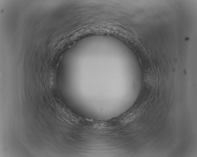 X0000067331490200604131647