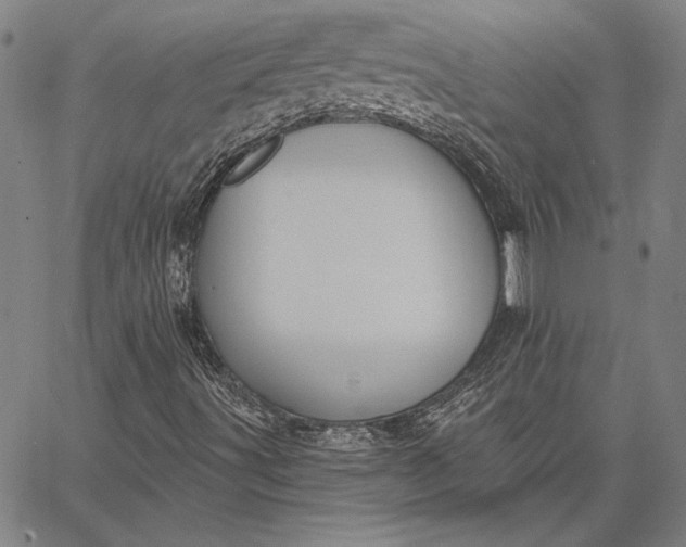 X0000067331491200604131647