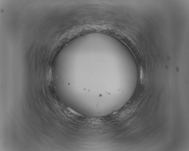 X0000067331492200604131647