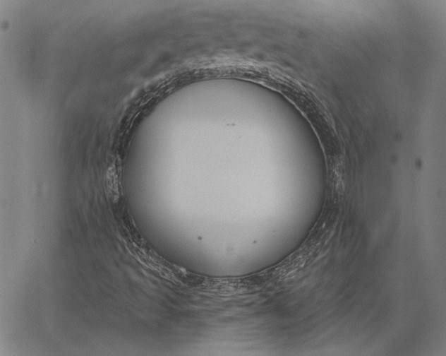 X0000067331493200604131647