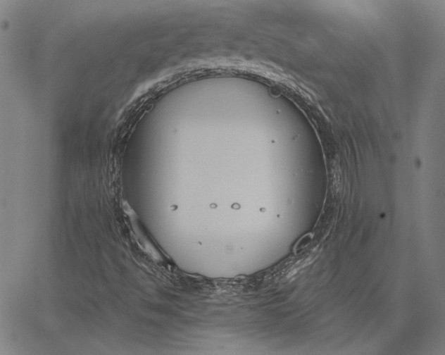 X0000067331494200604131647