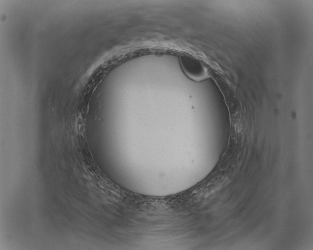 X0000067331495200604131647