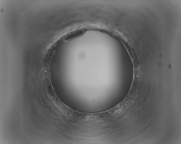 X0000067331496200604131647