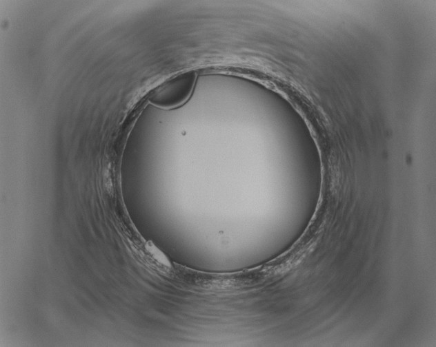 X0000067331497200604131647