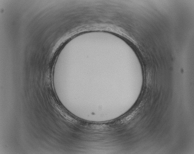 X0000067331498200604131647