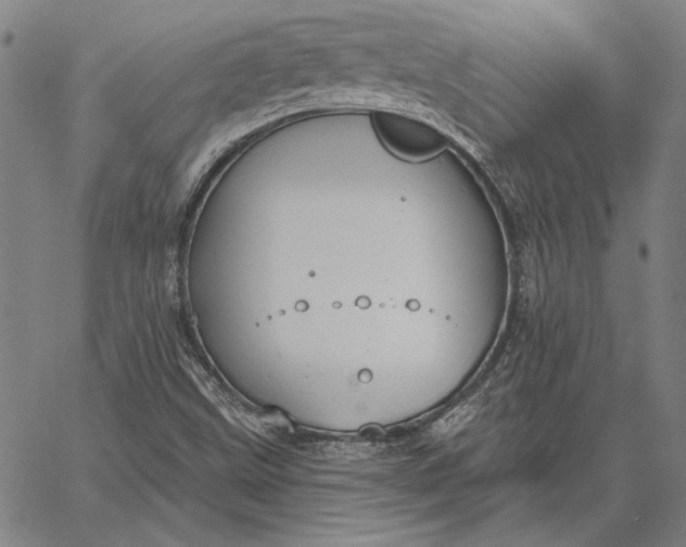 X0000067331499200604131647