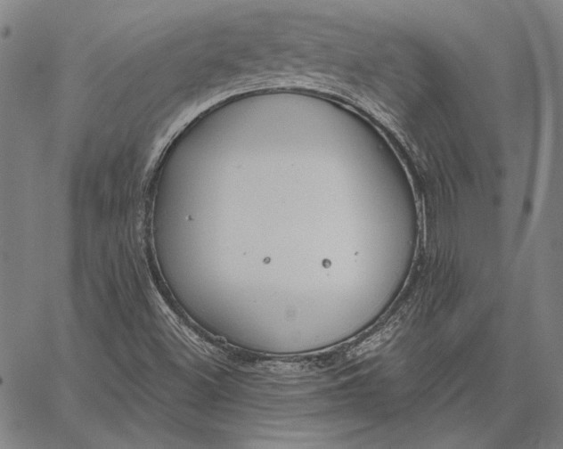 X0000067331500200604131647