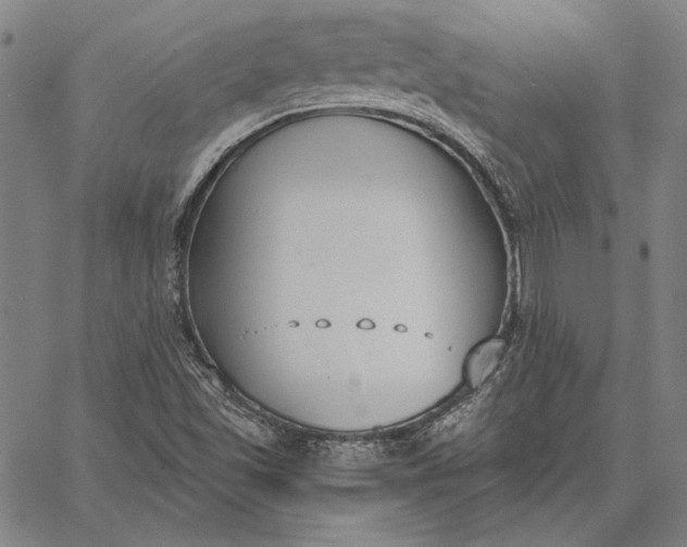 X0000067331501200604131647