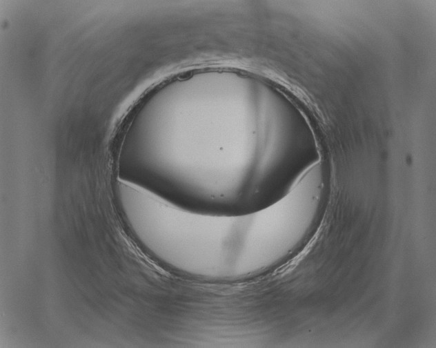 X0000067331502200604131647