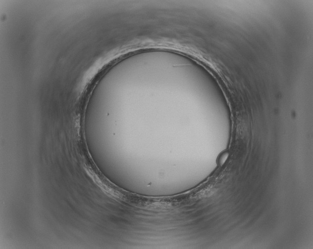 X0000067331503200604131647