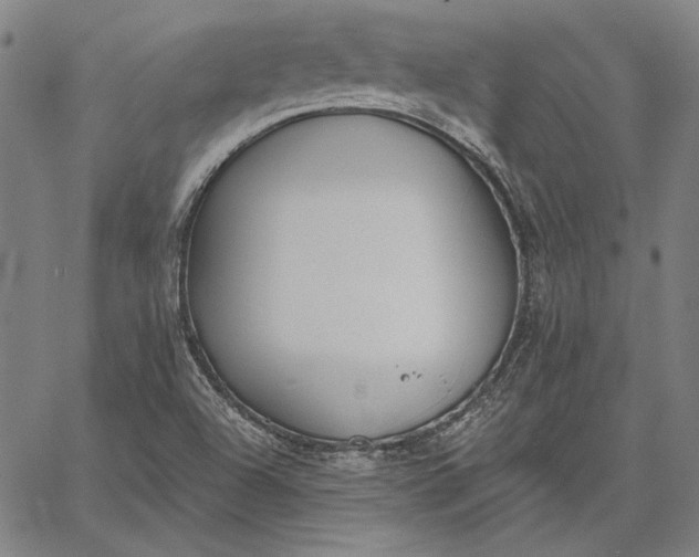 X0000067331504200604131647