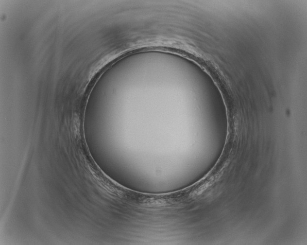 X0000067331505200604131647