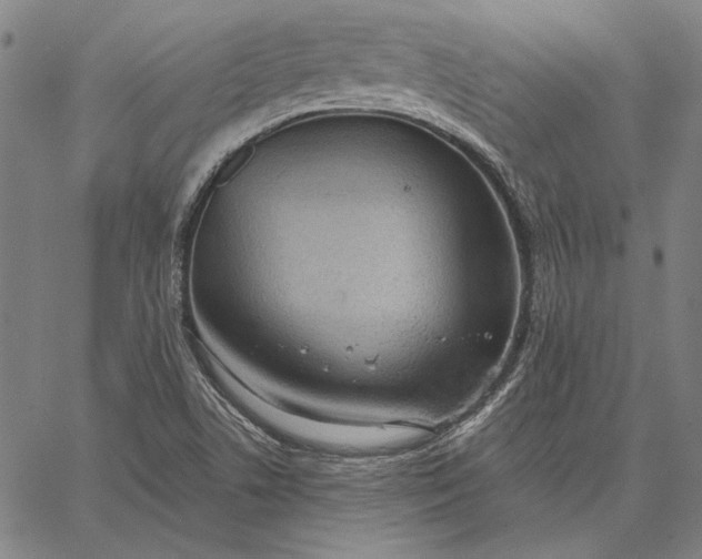 X0000067331506200604131647