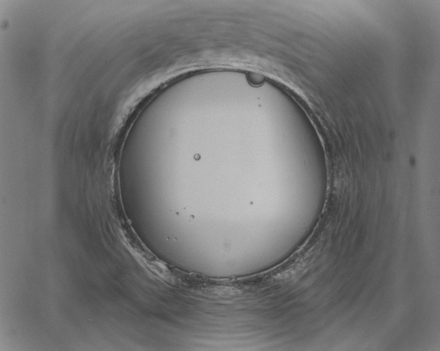 X0000067331507200604131647