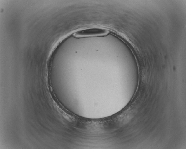 X0000067331508200604131647