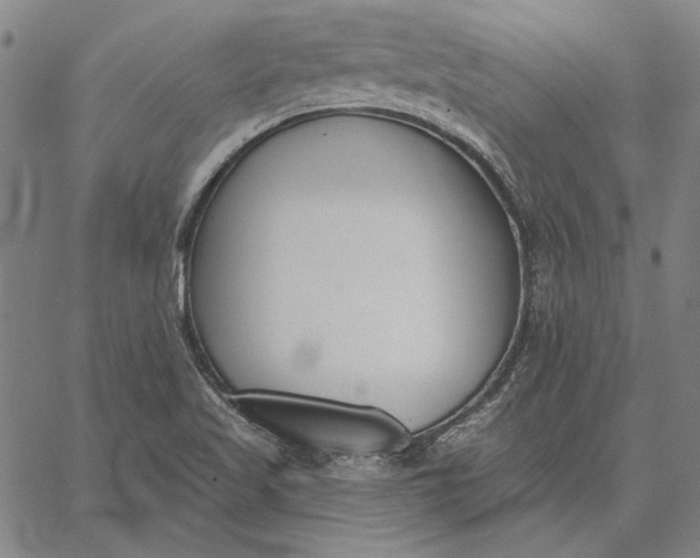 X0000067331509200604131647