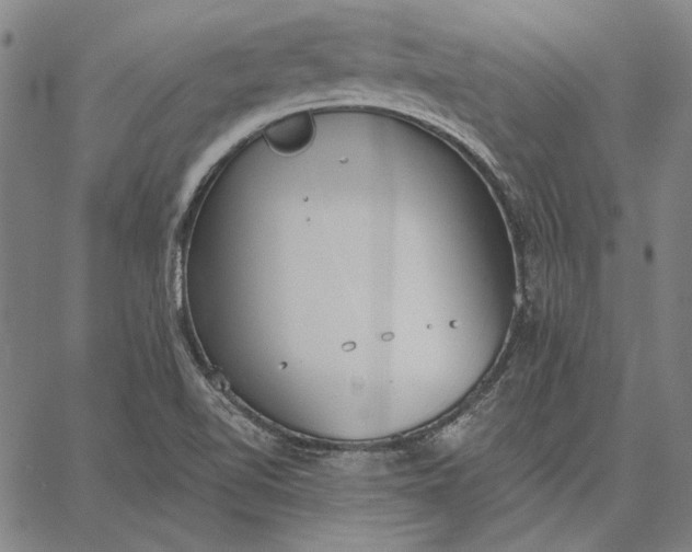 X0000067331510200604131648